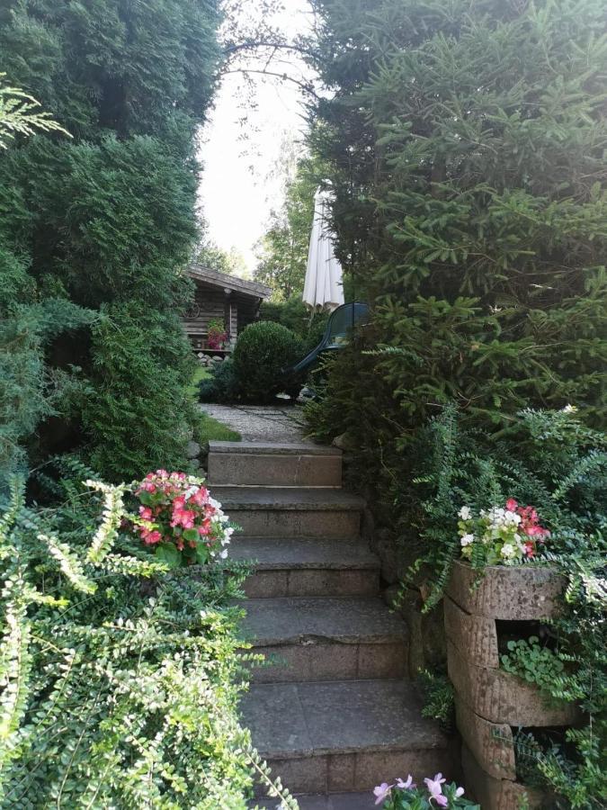 Haus Am Bach Daire Kirchberg in Tirol Dış mekan fotoğraf