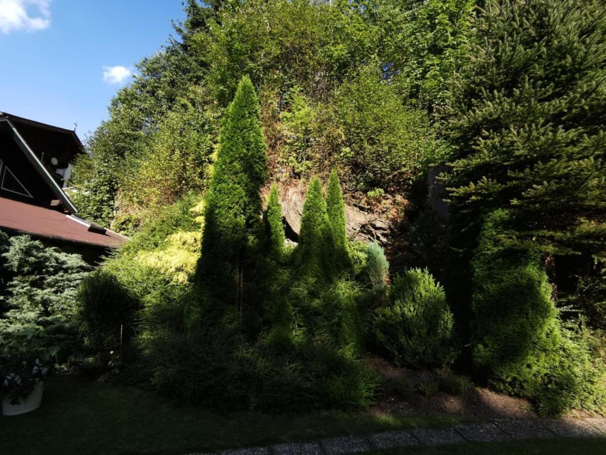 Haus Am Bach Daire Kirchberg in Tirol Dış mekan fotoğraf