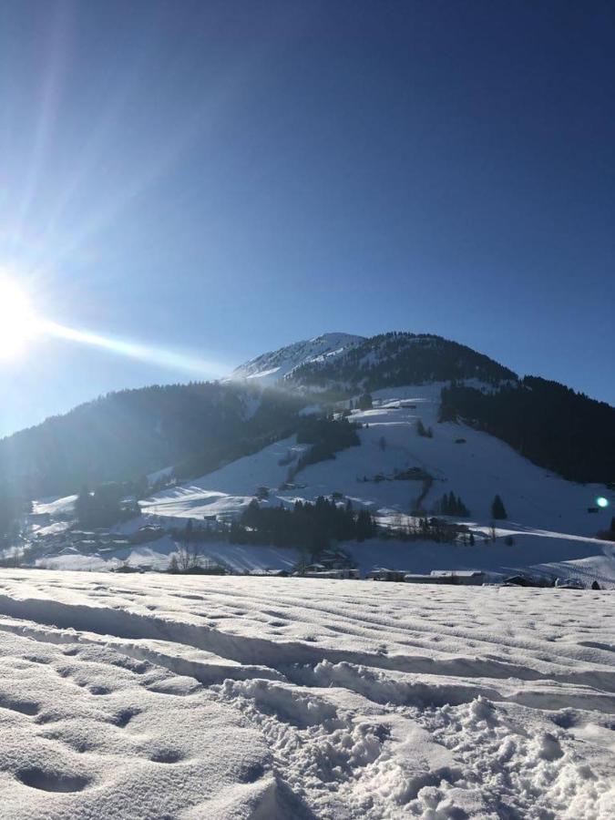 Haus Am Bach Daire Kirchberg in Tirol Dış mekan fotoğraf