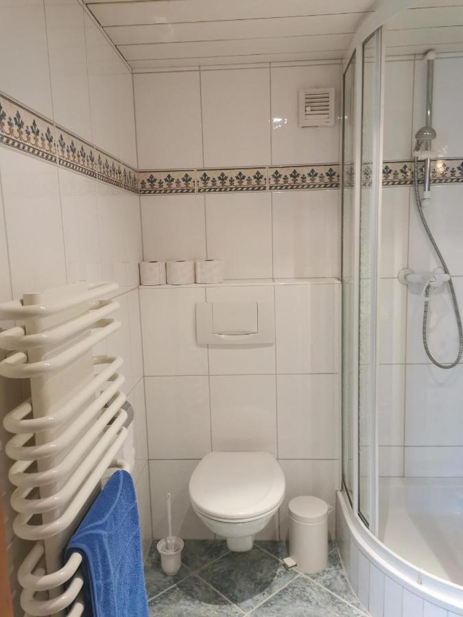 Haus Am Bach Daire Kirchberg in Tirol Dış mekan fotoğraf
